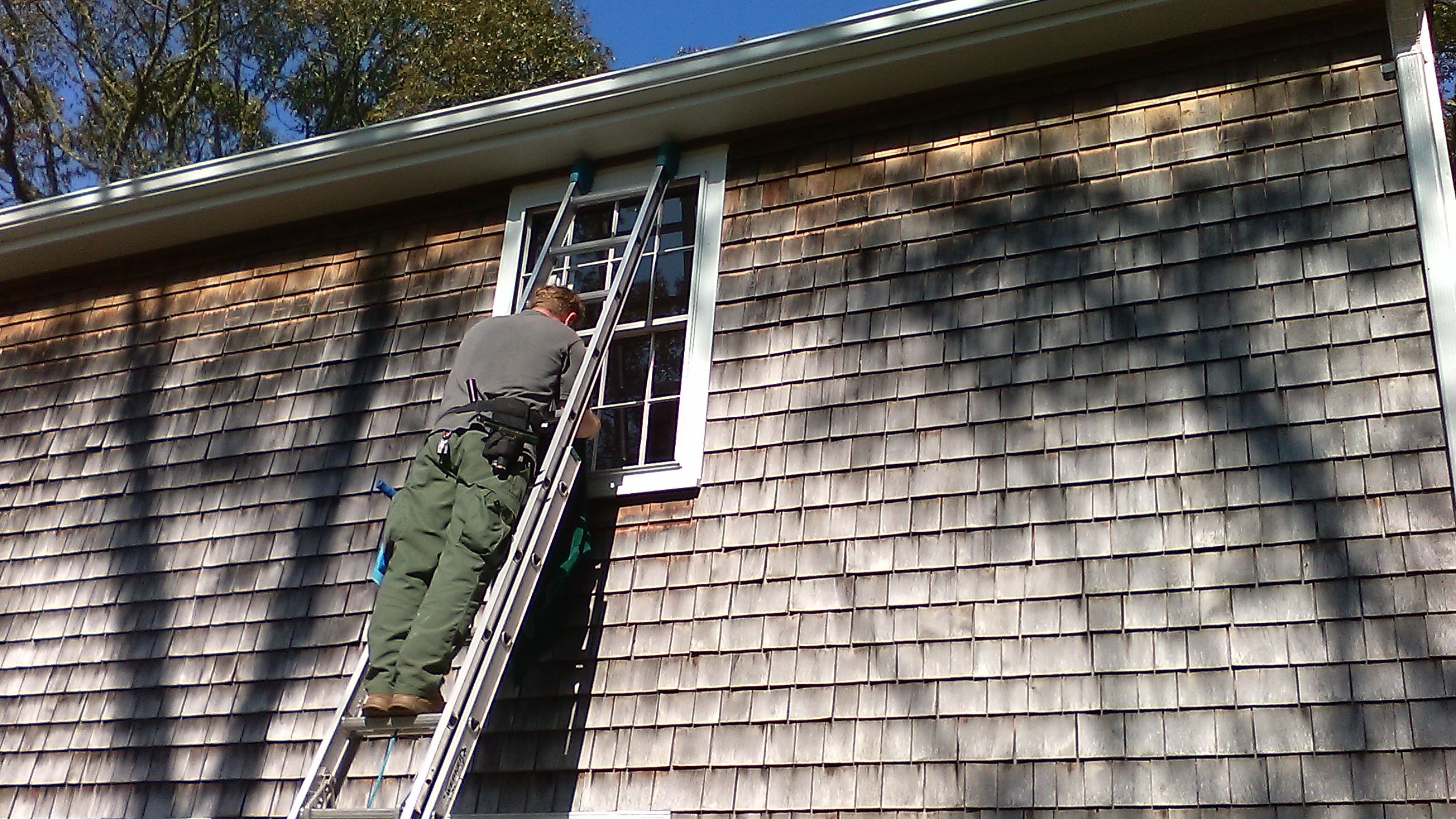 Window cleaning - Wareham